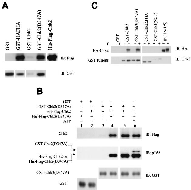 FIG. 6.