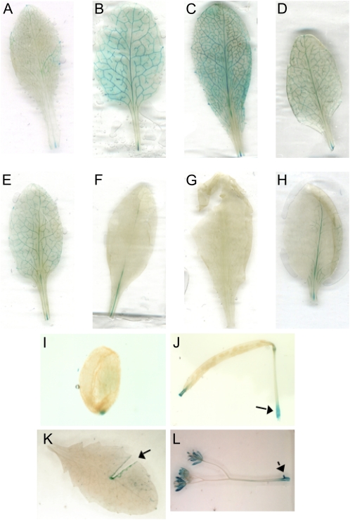 Figure 10.