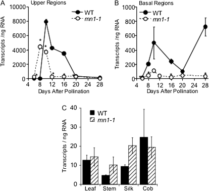 Figure 5.