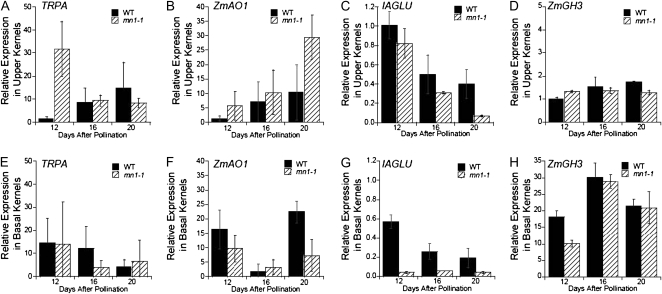 Figure 4.