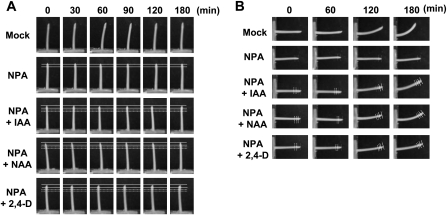 Fig. 3.