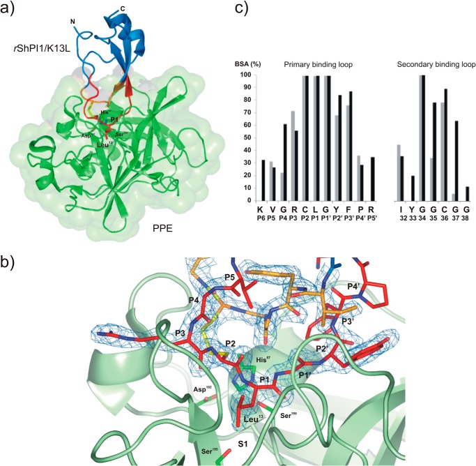 FIGURE 1.