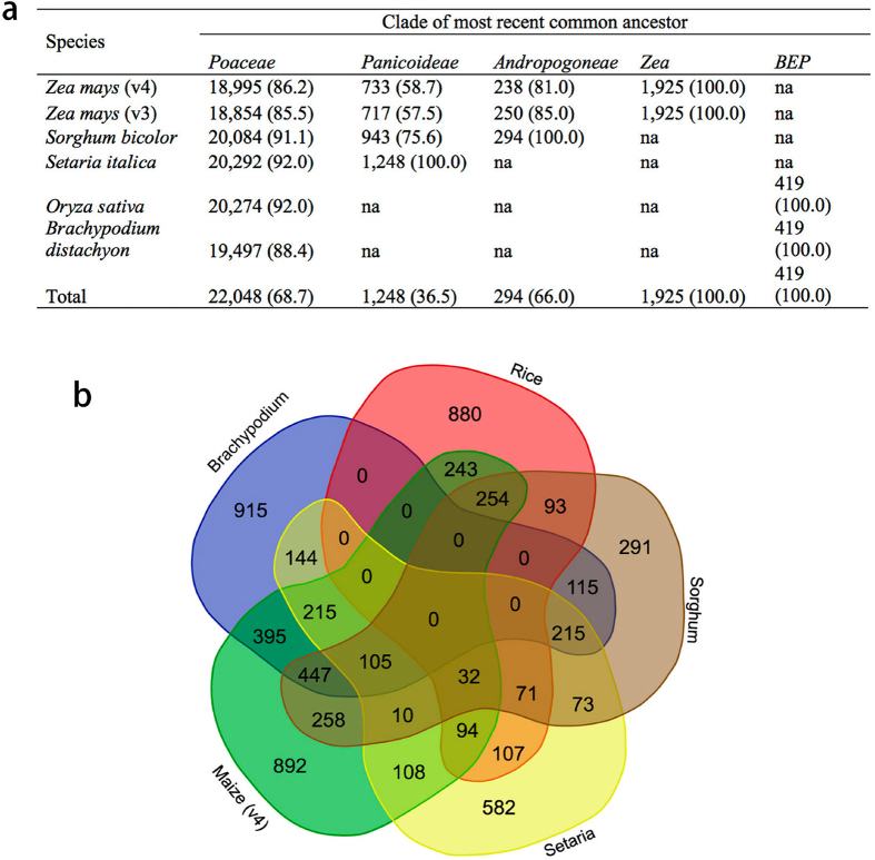 Extended Data Figure 6