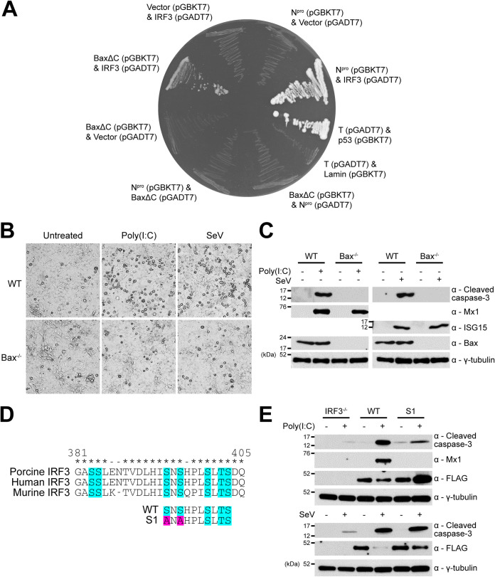 FIG 4