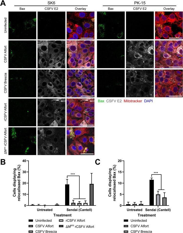 FIG 6