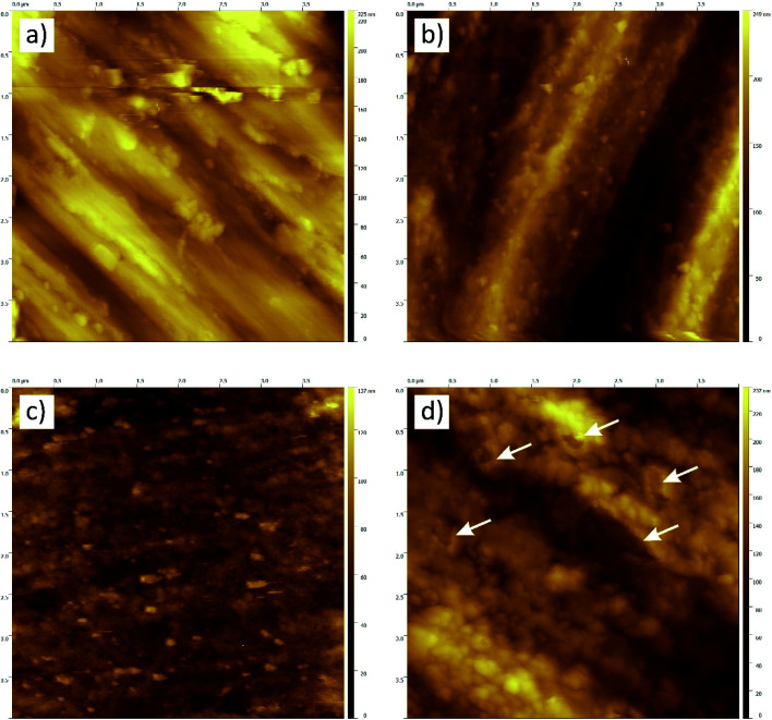 Fig. 4