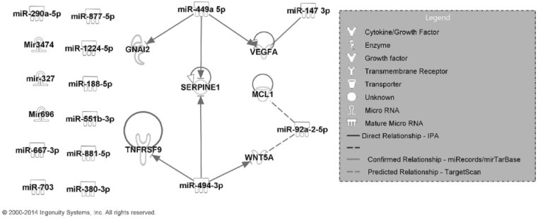 FIG. 1.