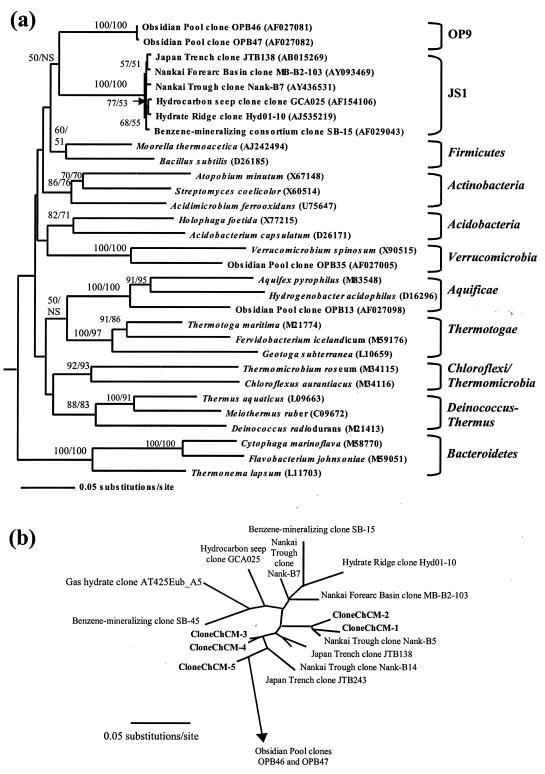 FIG. 1.