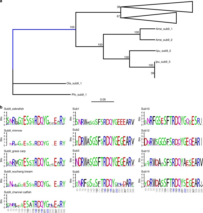 Fig. 6