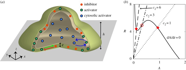 Figure 1.