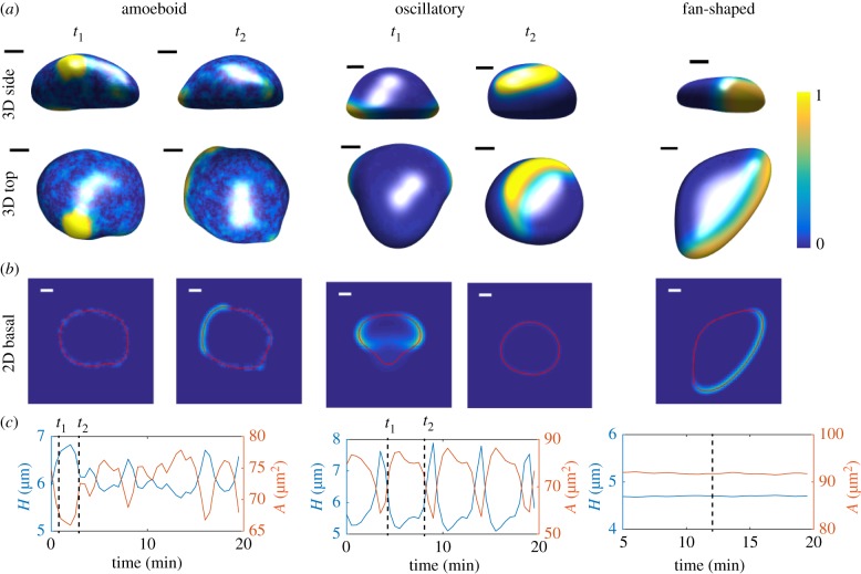 Figure 4.