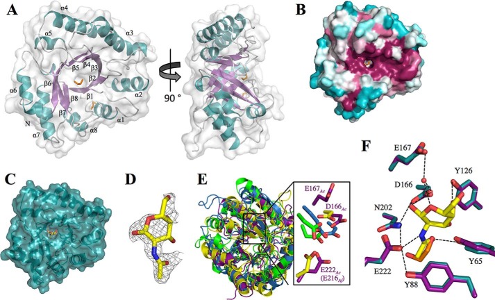 FIGURE 4.