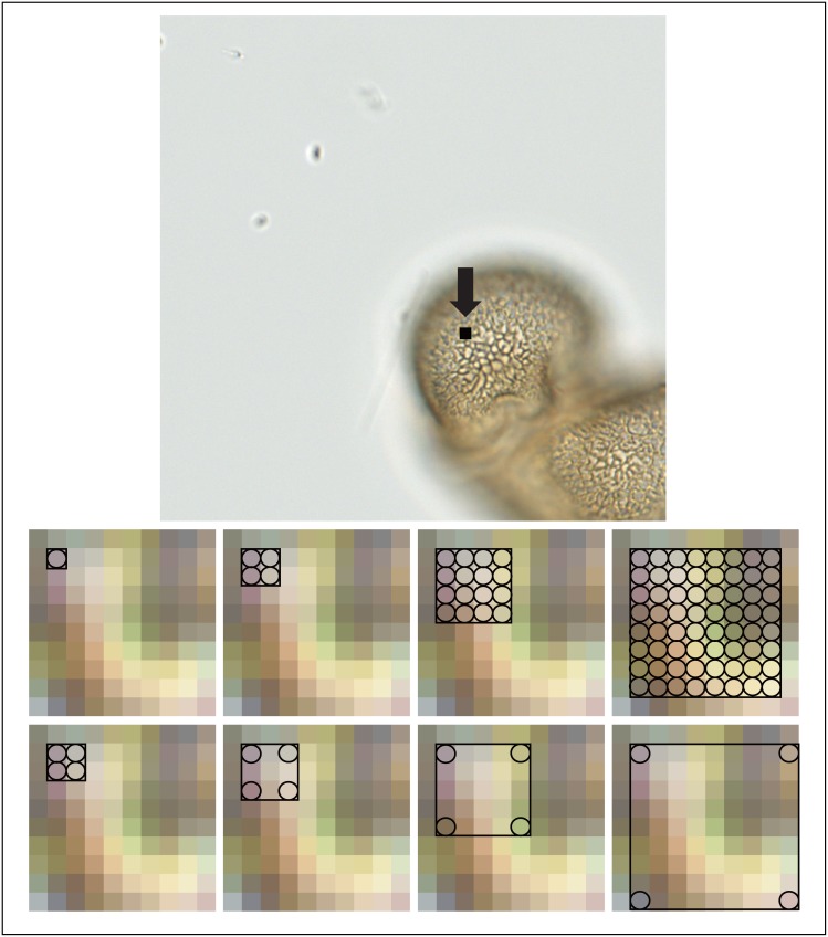 Fig 3
