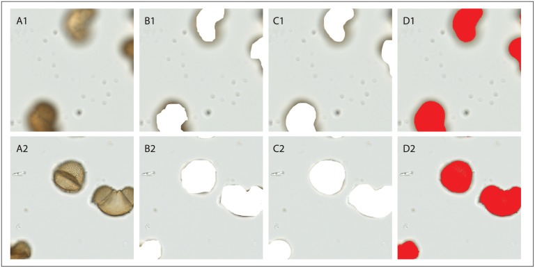 Fig 5