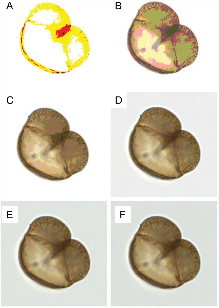 Fig 4