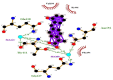 graphic file with name fx37_lrg.gif