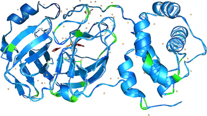 Fig. 1