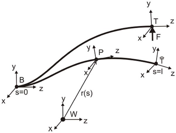 Fig. 2