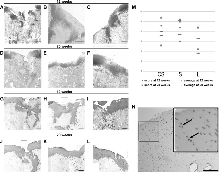 Fig. 4