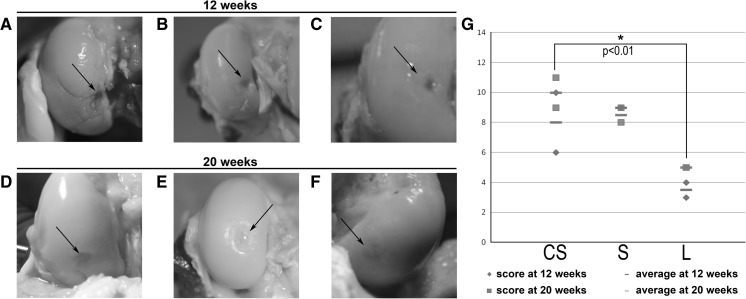 Fig. 3