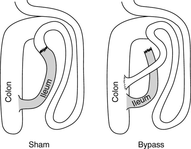 Figure 1  