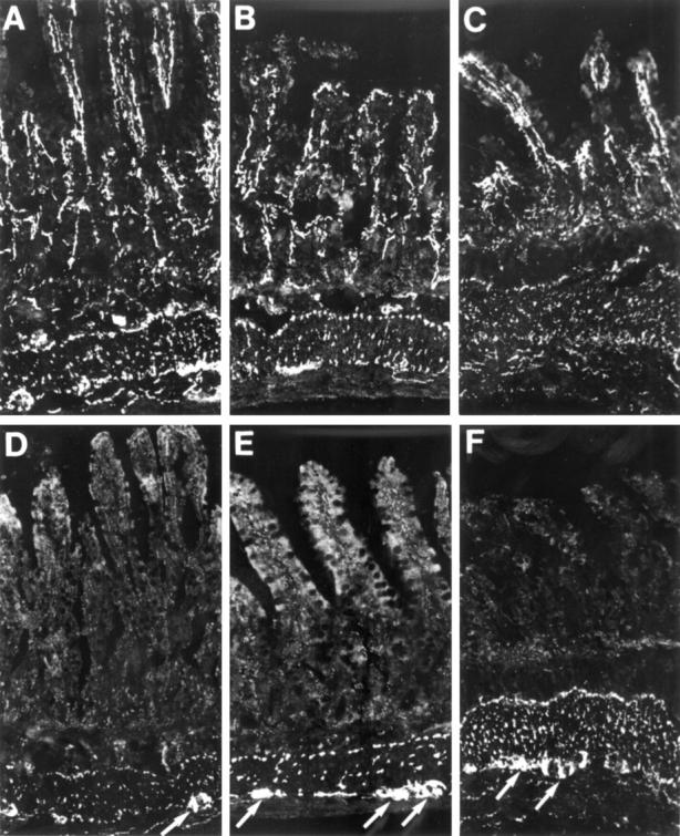 Figure 3  