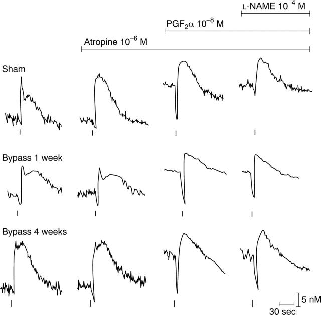 Figure 7  