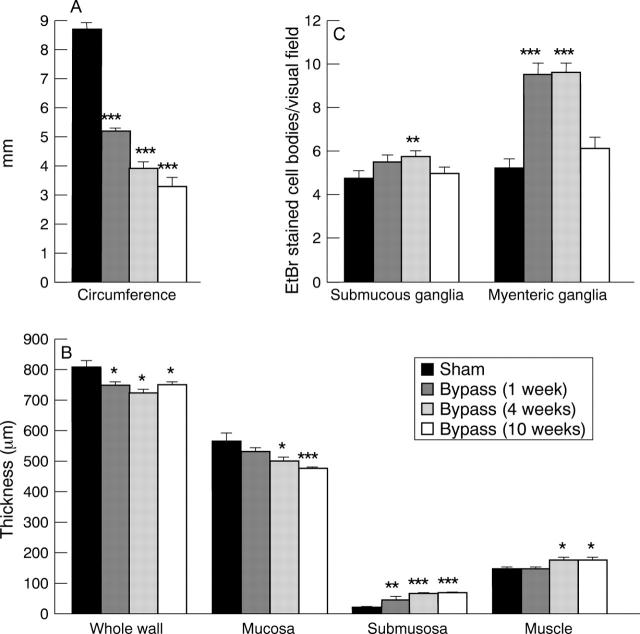 Figure 2  