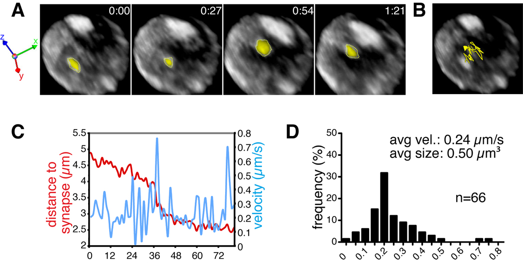 Fig. 3