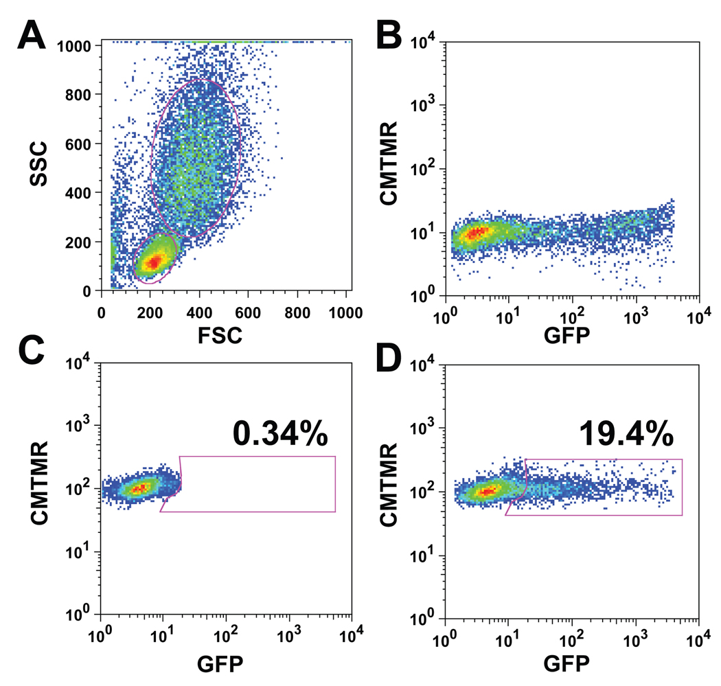 Fig. 2