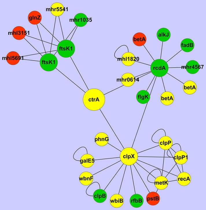 Figure 7