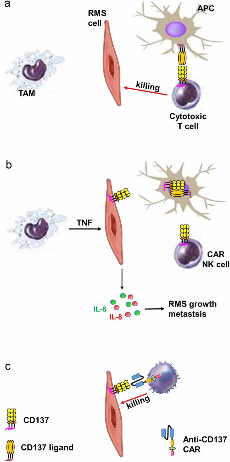 Figure 7.