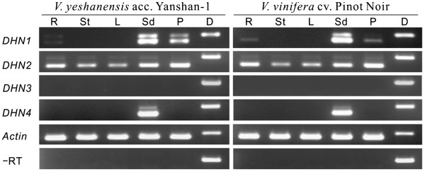 Figure 4 
