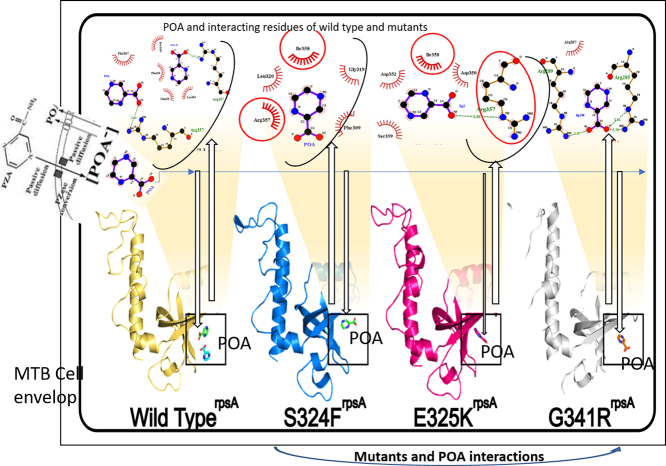 Unlabelled Image