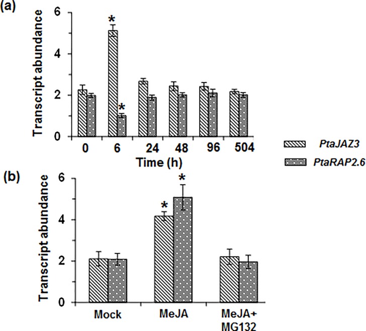 Fig 6