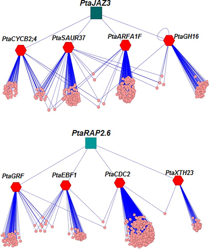 Fig 4