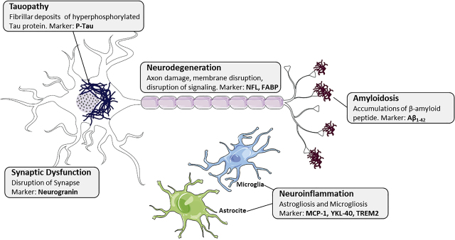 Figure 1: