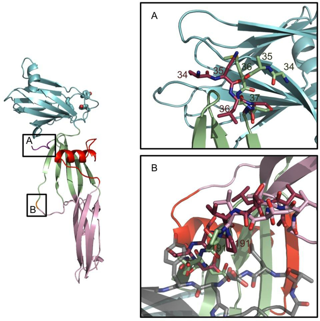 FIGURE 2