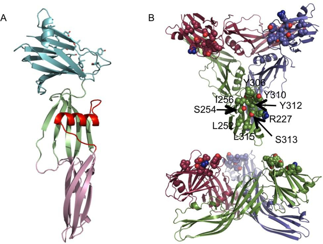 FIGURE 1