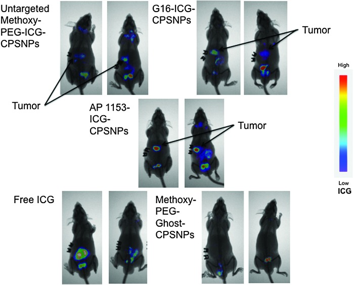 FIG. 7.