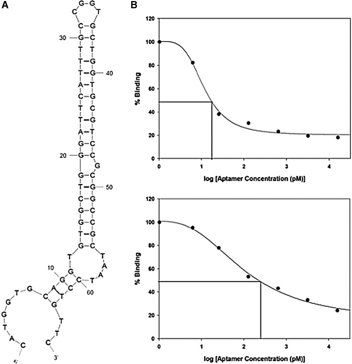 FIG. 2.