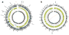 FIG. 1