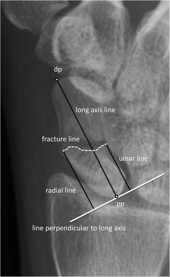 Fig. 1