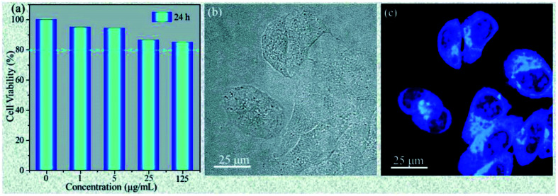 Fig. 20