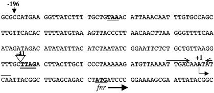 FIG. 5.