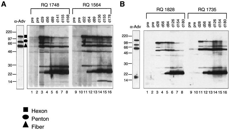 FIG. 8