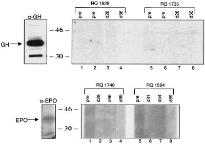 FIG. 9