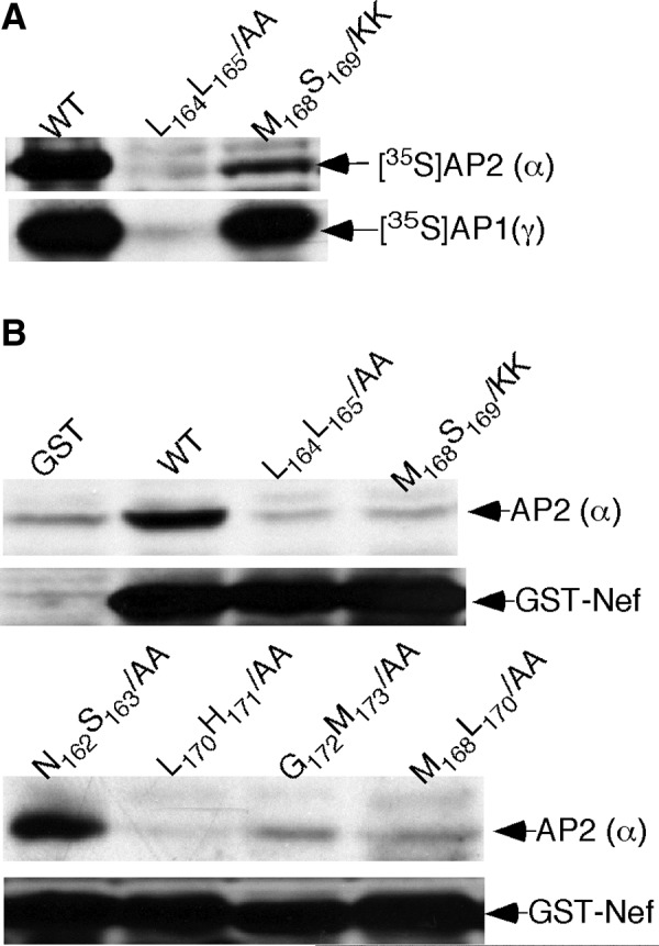 FIG. 2.