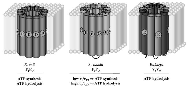 FIG. 5.