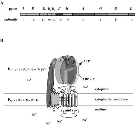 FIG. 3.